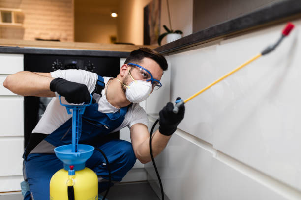 Professional Pest Control in White Oak, MD