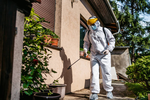 Best Best Pest Control Companies  in White Oak, MD