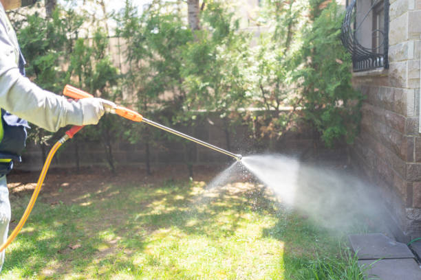 Best Pest Control Treatment  in White Oak, MD